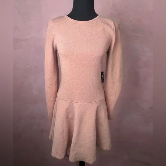 Express Long‎ Sleeve Knit Skater Dress - Picture 1 of 7